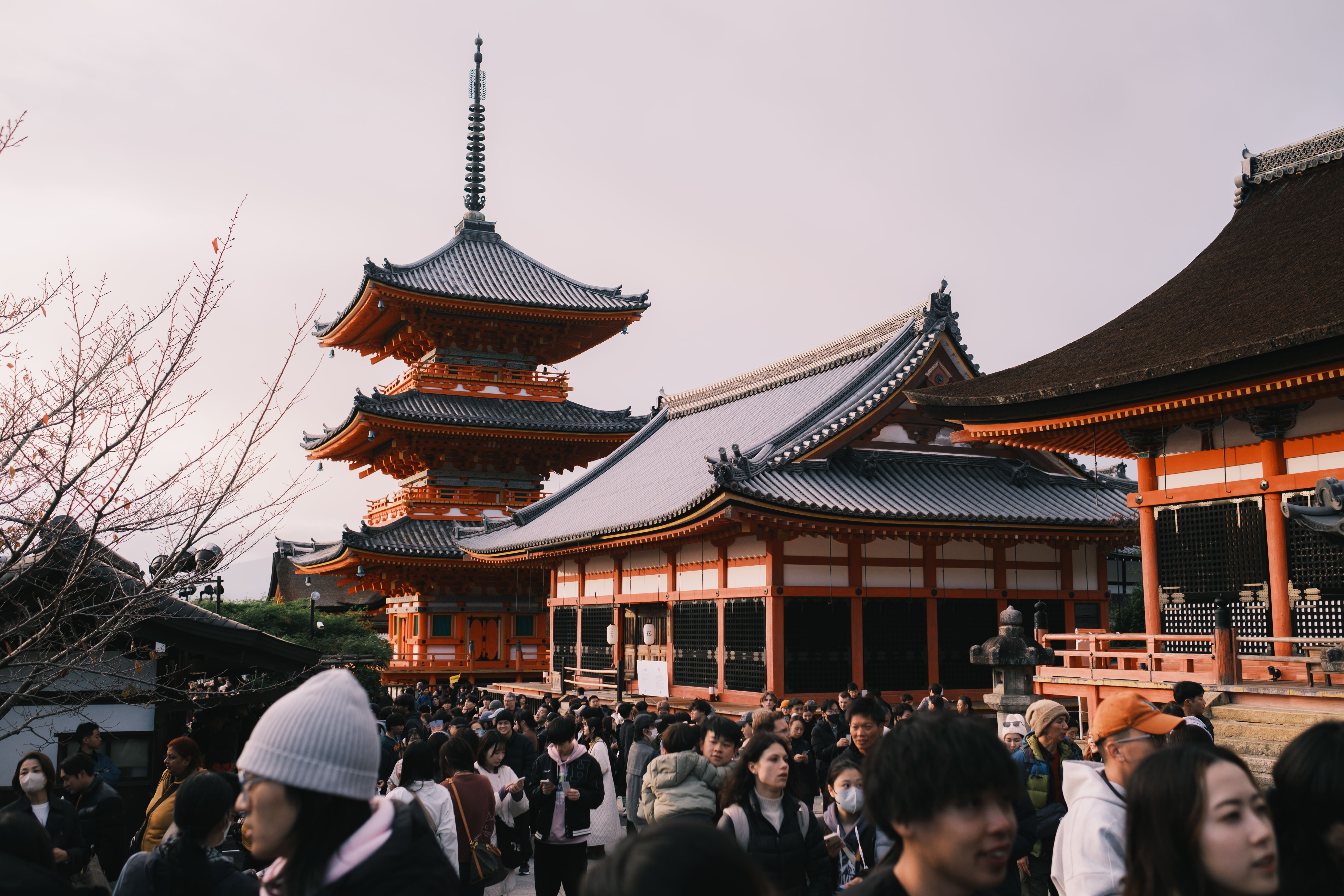 Cherry blossoms in Tokyo